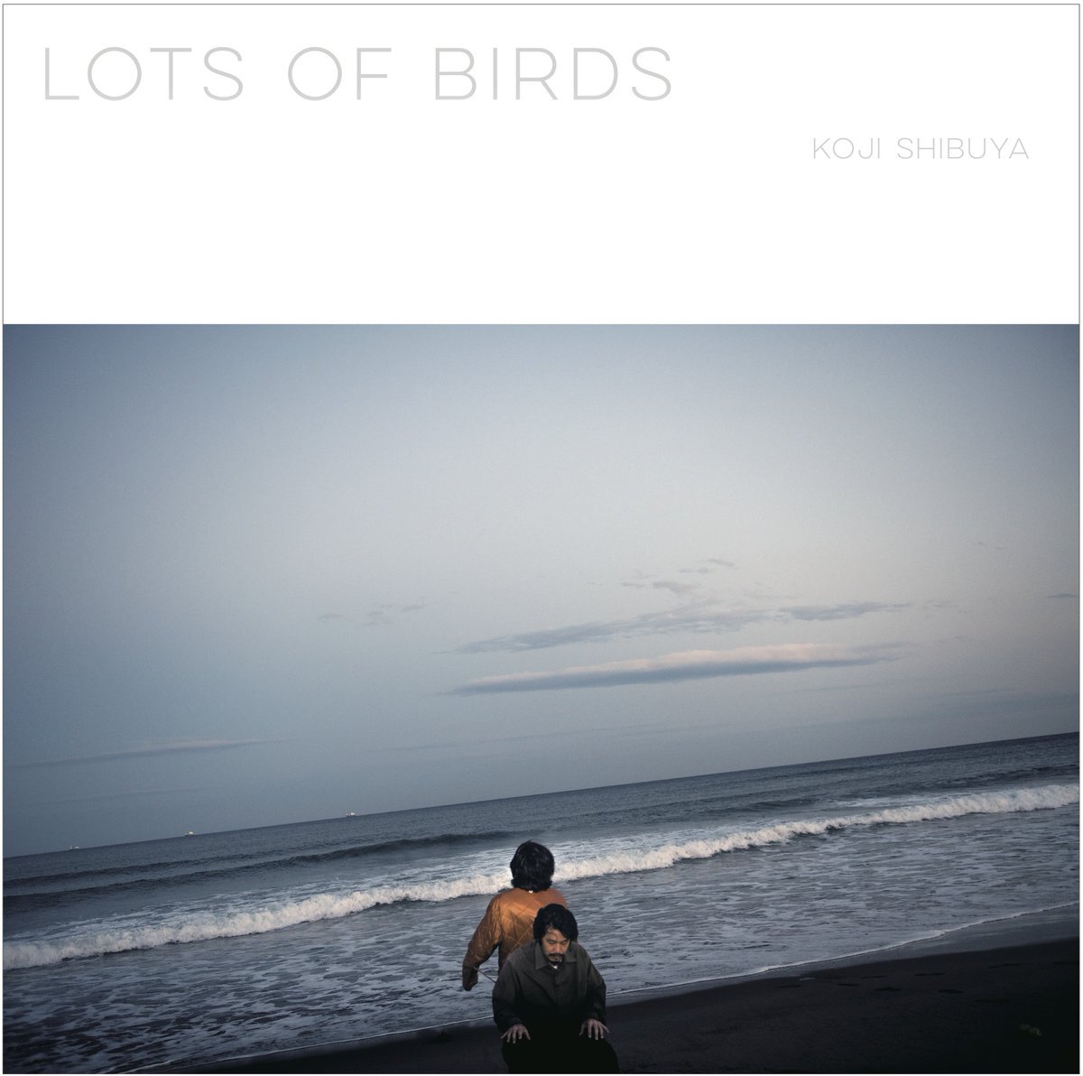 澁谷浩次『Lots of Birds』 | FYOC